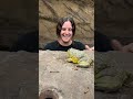 Adorable Pixie Frog Hops Around