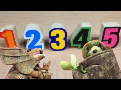 Counting with Magic Numbers! Learn Numbers and Counting with Imaginary Dave and Tree Bear
