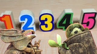 Counting with Magic Numbers! Learn Numbers and Counting with Imaginary Dave and Tree Bear