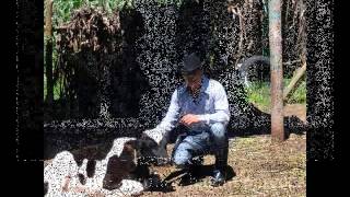 Marco antonio solis YO CREI QUE SI