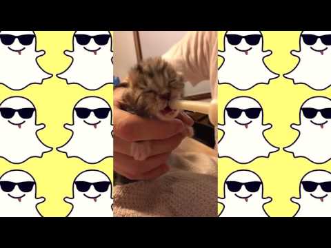 Thumbnail for #ArianaGrande & #Diplo Tease Previews Another New Song On #Snapchat “Dangerous Woman” by Diplo