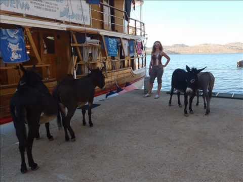 Ansambel ERAZEM - Primorski taxi