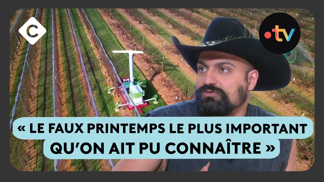 Retour du froid : l’inquiétude des agriculteurs