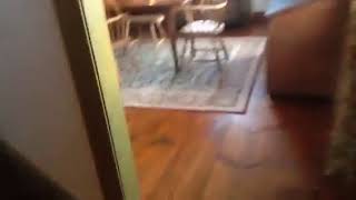 Download lagu Alex the Kaiju Fan KittenKing3000 mp3 Download lagu Alex the Kaiju Fan KittenKing3000 mp3