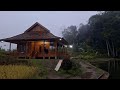 Hidup Di Desa Menginap Di Rumah Kayu Saat Musim Hujan Sangat Hangat