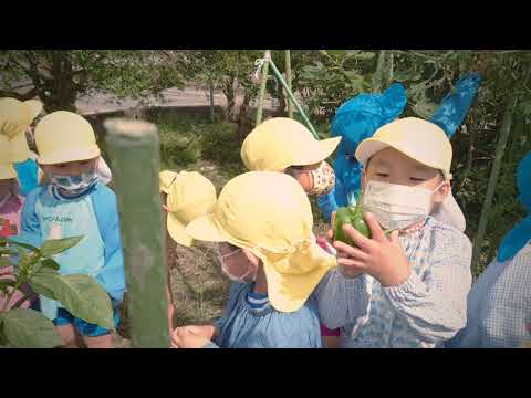 秋に子供と一緒に庭で何をするか、種を集める、ベリーを集める、有毒物質を防ぐ