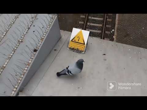 Bahnhof Hof Hbf (Teil9-10)- der  RV u.a mit RE2(Alex), Re30, Re35, Rb24 & GV in Hof, BY am 08.04.23