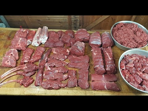 Daim, atelier boucherie. Venaison. #SRP