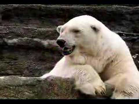 Julio Numhauser (la voz del autor) & Francisco Ibarra - Todo cambia  (Montesco)