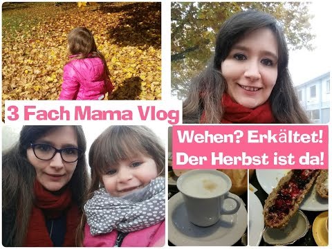 VLOG|schwanger - erste Wehen?| 29.ssw |3 Fach Mama| Herbst| Familienleben