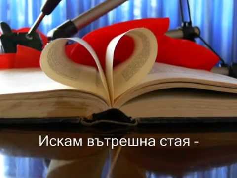 Собствена стая music: Chico Desperado (Bossa Nostra ft. Bruna Lopez)