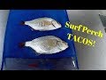 Catch, Clean and Cook | Surf Perch