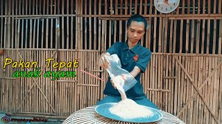 Download lagu FEED RIGHT FOR CHILDREN OF BANGKOK CHICKEN mp3 Download lagu FEED RIGHT FOR CHILDREN OF BANGKOK CHICKEN mp3