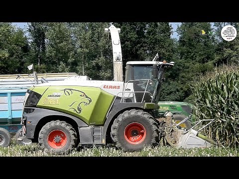 Claas Jaguar 980 Type 498 SHREDLAGE Special Edition & 8 trailers - Gruppo PEA - Big corn silage 2019