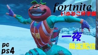【フォートナイト】今日だけよ？【生放送】