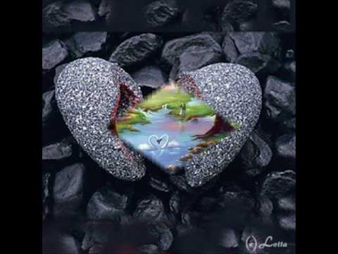 Flora Gashi-pse ta fala