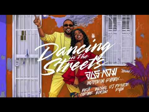 Mela Caribe x Machel Montano x DJ Private Ryan - Dancing in the Streets - Jus Now IndoTrini Remix