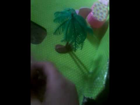 باربي الحلقة خمسة