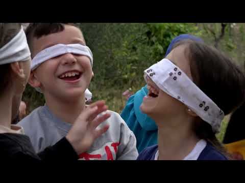 Alveare 2025, la natura si scopre ai più piccoli