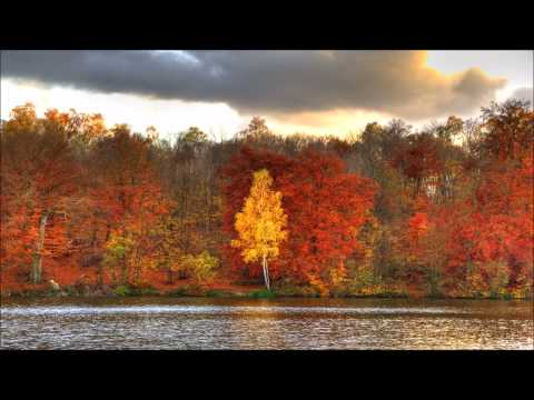 ♫Les Strobelights - Kuno (Extended)