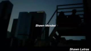 Shawn Mendes - Crazy (Tradução/Legenda)
