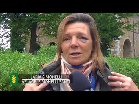 Agritg - 10^ puntata