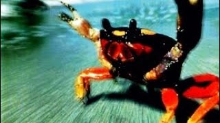 The Prodigy - Fuel My Fire