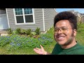 How To Grow Bluebonnets - Austin Texas Wildflower Garden Tour