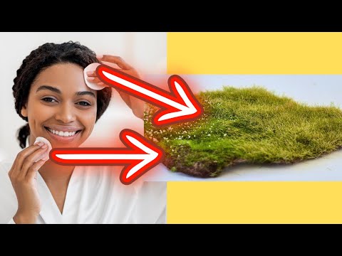 Modellbau: Mini-Grasmatten aus Wattepads! TUTORIAL