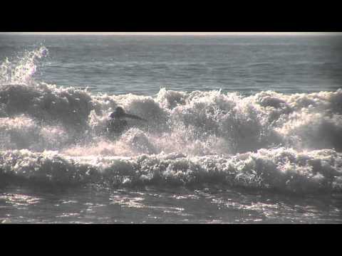 BRAZILIAN RISING STAR MIGUEL PUPO JOINS THE HURLEY FAMILY