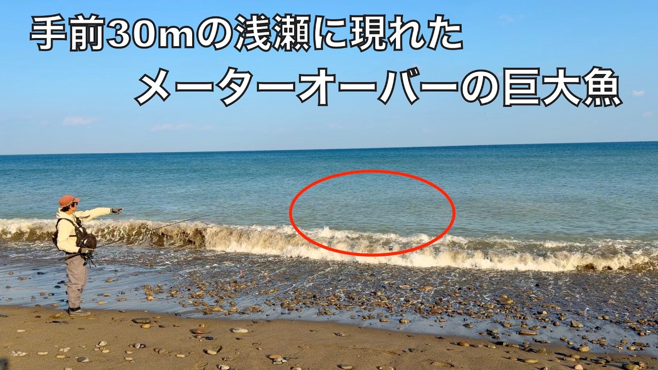 ついに釣り上げた砂浜の巨大魚！その魚は手前の濁りの中に潜んでいた‥