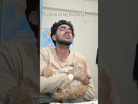 “My Cat’s Last Goodbye 💔 | Emotional Pet Story #shorts” #catdeath #persiancat #cat
