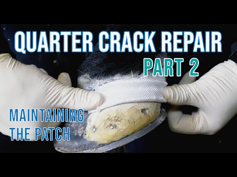 Slide 8 - Equilox Dispensing Gun For 420ml  (video)