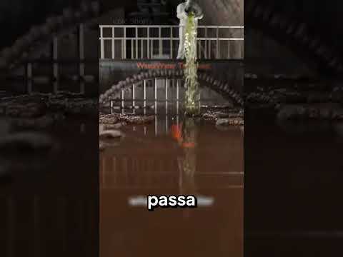 O PEIXE QUE FOI PARAR NO ESGOTO DEPOIS DE SER JOGADO NO VASO 🐟🚽