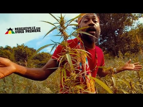 Lutan Fyah - Sweet Trichomes [Official Video 2016]