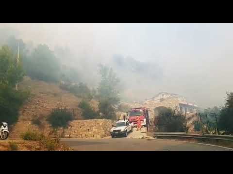 Incendio a Vallebona minaccia le abitazioni