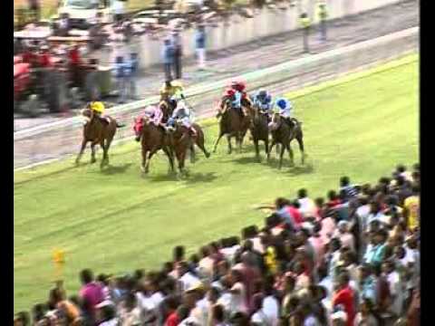 Weekend International 2011: 3e course - Darcy's Arcy (Buick)