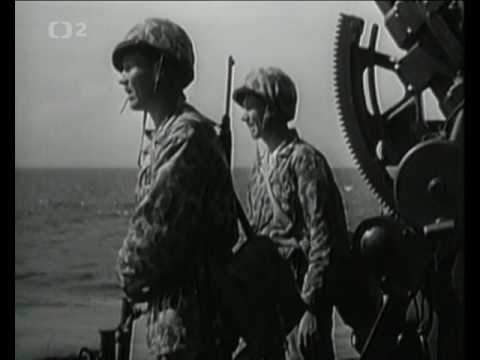 Bitevni pole - Bitva o Leyte 1