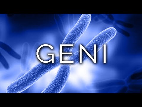 1283-IT Veronica, GENI - Ipnosi Esoterica ∞ Lucio Carsi