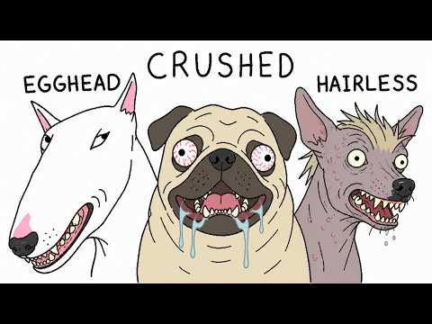 The Most Deformed Dog Breeds Explained