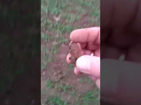 Weggeworfene Achate auf Idar-Oberstein's Äcker