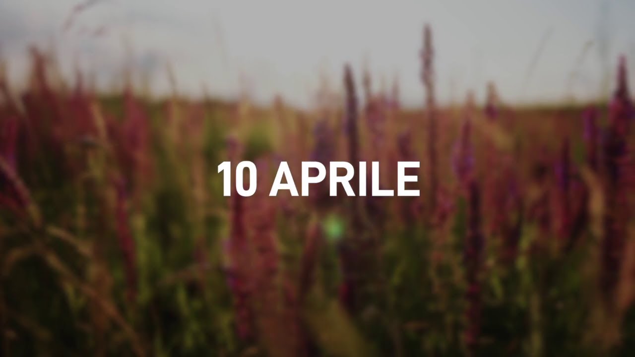 10 Aprile 2025 | Meditazione Parole di Vita