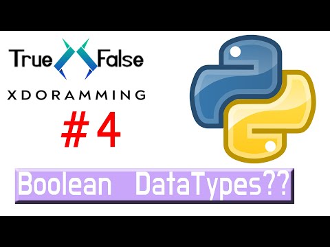 Boolean Data Type Python In Hindi Python Beginner To Advance