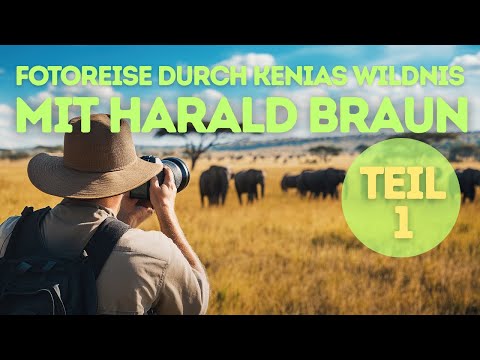 Unsere Kenia Fotoreise Teil 1