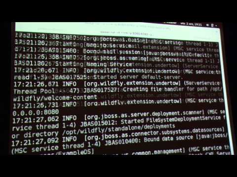 41 Spotkanie Wrocław JUG - Docker and JBoss - the perfect combination