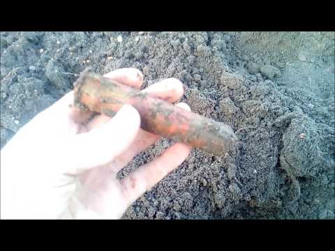 Wykopki Odc.24 (Nieśmiertelnik itp )