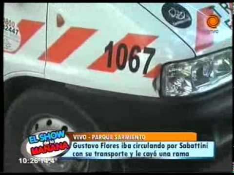 cayó una rama sobre el transporte escolar 22 04 2014