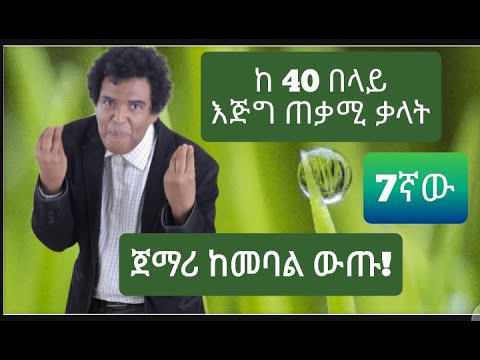 Teacher nigus 127 - verbs