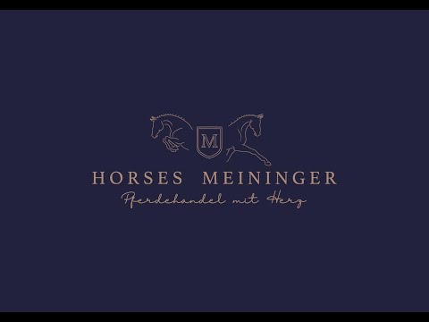 6y mare by Cristallo x Pilot Cordula Grün Show Video