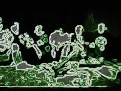 Massey - Palimy lole